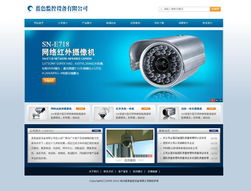 專業(yè)、高效、經(jīng)濟(jì) 企業(yè)網(wǎng)站的快速搭建方案